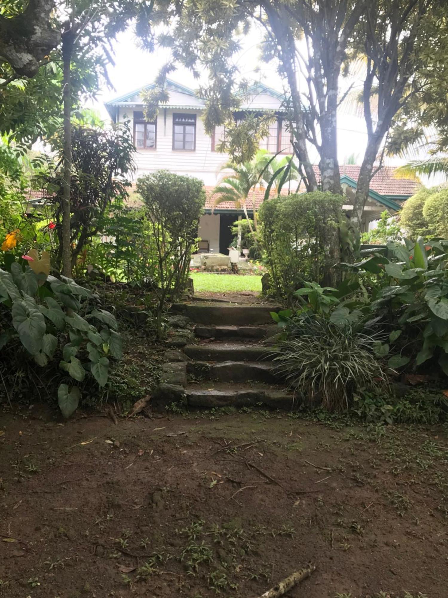 Wattarantanne Homestay Kandy Eksteriør billede