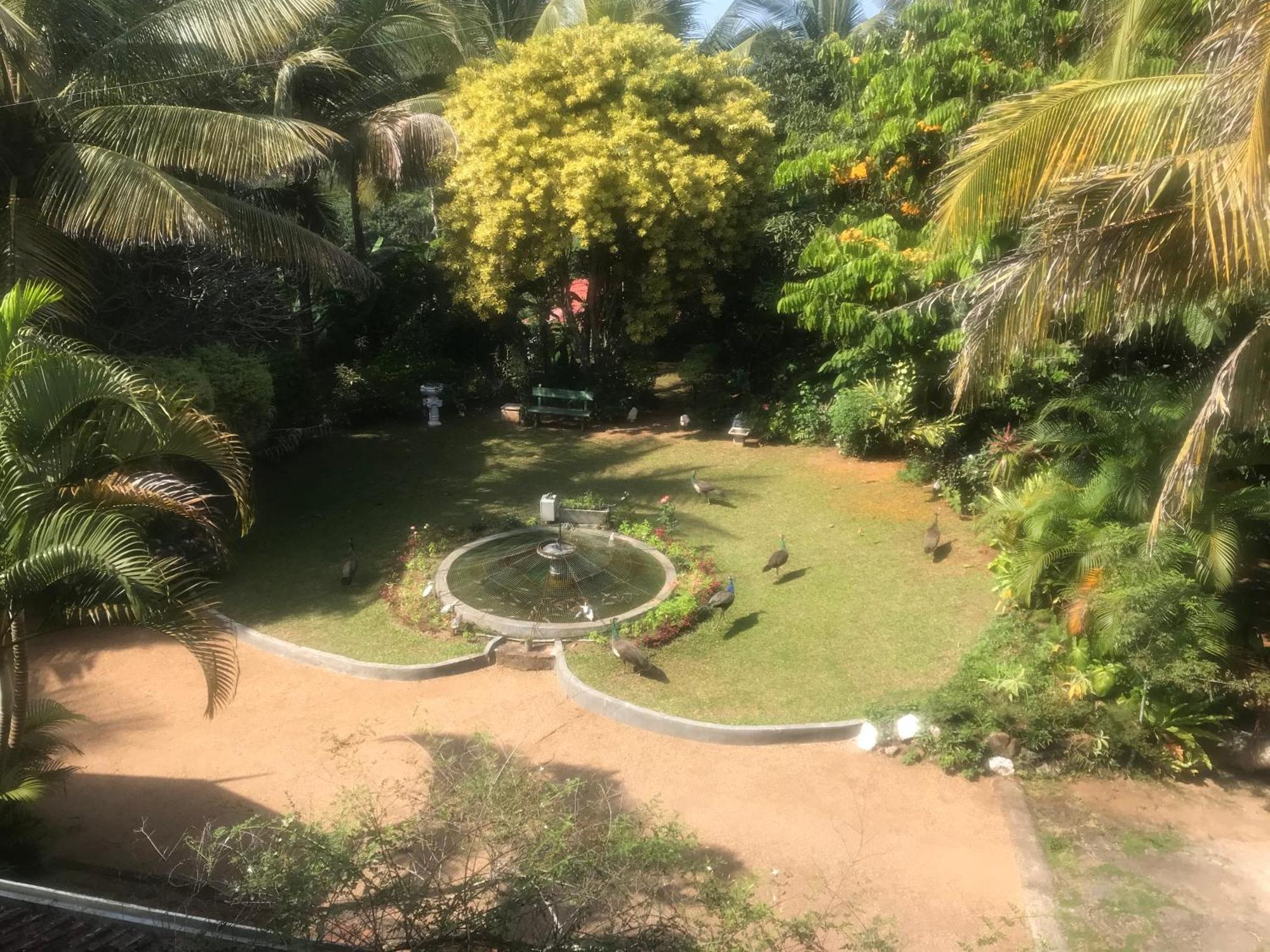 Wattarantanne Homestay Kandy Eksteriør billede
