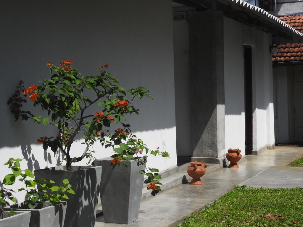 Wattarantanne Homestay Kandy Eksteriør billede